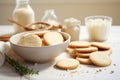 Light brown vanilla biscuit cookies sweet dessert with milk in daytime kitchen interior