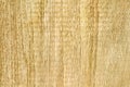 Light brown wood wall texture with detailed seamless patterns abstract for old background Royalty Free Stock Photo
