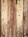 Light brown wooden plank as a background Royalty Free Stock Photo