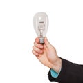 Light bulb Royalty Free Stock Photo