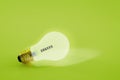 Light bulb Royalty Free Stock Photo