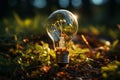 light bulb against nature on green leaf with energy sources, Sustainable developmen and responsible environmental, AI generate