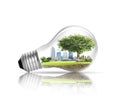 Light bulb Alternative energy concept Royalty Free Stock Photo