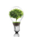 Light bulb Alternative energy concept Royalty Free Stock Photo