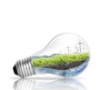 Light bulb Alternative energy concept Royalty Free Stock Photo