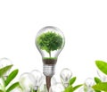 Light bulb Alternative energy concept Royalty Free Stock Photo