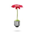 Light bulb Alternative energy concept Royalty Free Stock Photo