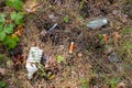 Light bulb and batteries - dangerous garbage in the forest, environmental pollution Royalty Free Stock Photo