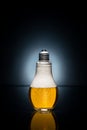 Light bulb beer with drops and ice Royalty Free Stock Photo