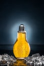 Light bulb beer with drops and ice Royalty Free Stock Photo