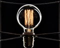 Light bulb on a black background.golden spiral