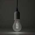 a light bulb with a black cord hanging from it\'s end and a white light bulb with a black cord hangin