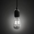 a light bulb with a black and white photo of clouds inside of the light bulb and a black and white p