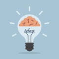 Light bulb with brain, Idea concept