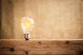 Light bulb with brown wooden floor