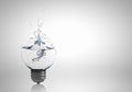 Light bulb with clear water Royalty Free Stock Photo