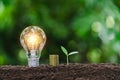 Light bulb with coins and young plant  for saving money,financial,business or energy concept put on the soil in soft green nature Royalty Free Stock Photo
