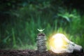 Light bulb with coins beside and young plant on top concept put Royalty Free Stock Photo