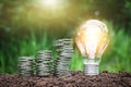 Light bulb with coins beside and young plant on top concept put Royalty Free Stock Photo