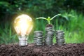 Light bulb with coins beside and young plant on top concept put Royalty Free Stock Photo