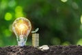 Light bulb with coins beside and young plant on top concept put on the soil in soft green nature background Royalty Free Stock Photo