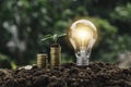 Light bulb with coins beside and young plant on top concept put on the soil in soft green nature background Royalty Free Stock Photo