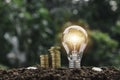 Light bulb with coins beside and young plant on top concept put on the soil in soft green nature background Royalty Free Stock Photo