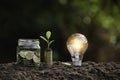 Light bulb with coins beside and young plant on top concept put on the soil in soft green nature background Royalty Free Stock Photo