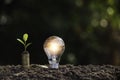 Light bulb with coins beside and young plant on top concept put on the soil in soft green nature background Royalty Free Stock Photo