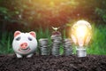 Light bulb with coins beside and young plant on top concept put Royalty Free Stock Photo