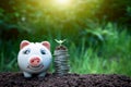 Light bulb with coins beside and young plant on top concept put Royalty Free Stock Photo