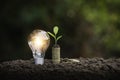 Light bulb with coins beside and young plant on top concept put on the soil in soft green nature background Royalty Free Stock Photo