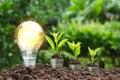 Light bulb with coins beside and young plant on top for saving m Royalty Free Stock Photo