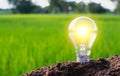 Light bulb concept energy an idea put on the soil on green nature background.