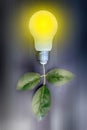 Light bulb connected to green source ecofriendly energy concept Royalty Free Stock Photo