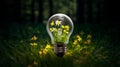 light bulb covered with green grass with blooming yellow flowers Royalty Free Stock Photo