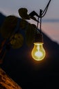 Light bulb decoration hanging on tree