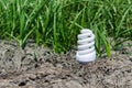 Light bulb on drought land Royalty Free Stock Photo