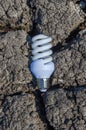 Light bulb and drought land Royalty Free Stock Photo