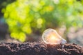 light bulb,energy sources for renewable,natural energy Royalty Free Stock Photo