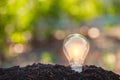 Light bulb,energy sources for renewable,natural energy Royalty Free Stock Photo