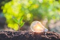 Light bulb,energy sources for renewable,natural energy Royalty Free Stock Photo