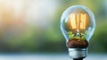 The light bulb features a miniature ecological microcosm inside, complete with tiny plants, soil, and insects Royalty Free Stock Photo