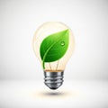 A light bulb features a vibrant green leaf inside, symbolizing eco-friendliness and Royalty Free Stock Photo
