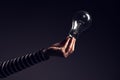 Light bulb in female hand Royalty Free Stock Photo