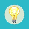 Light bulb flat design vector