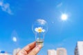 Light Bulb with Flowering Daisy in Hand Against Sunlit Sky Royalty Free Stock Photo