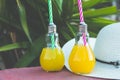 Light Bulb Glass Bottles with Freshly Pressed Orange Tropical Fruits Juice Straw Hat Green Palm Tree Leaves Foliage Background