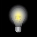 Light bulb or glass light bulb on background vector