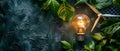 Light bulb glowing with green foliage and a small windmill Royalty Free Stock Photo